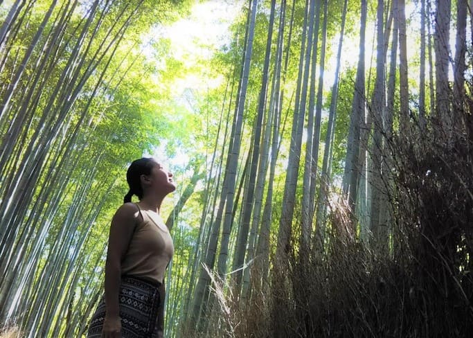 セルフイメージとコンフォートゾーン〜性格や人生は変えられる！？