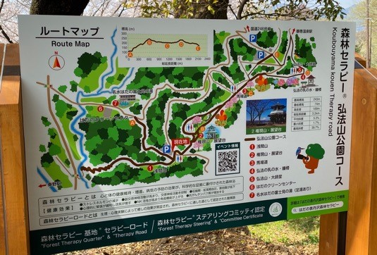 秦野市の森林セラピーロードに行ってきました はこじょ森林セラピー ラボ 女性のための森林浴 森林セラピー 総合情報サイト 秦野市の森林セラピーロードに行ってきました はこじょ森林セラピー ラボ 女性のための森林浴 森林セラピー 総合情報サイト