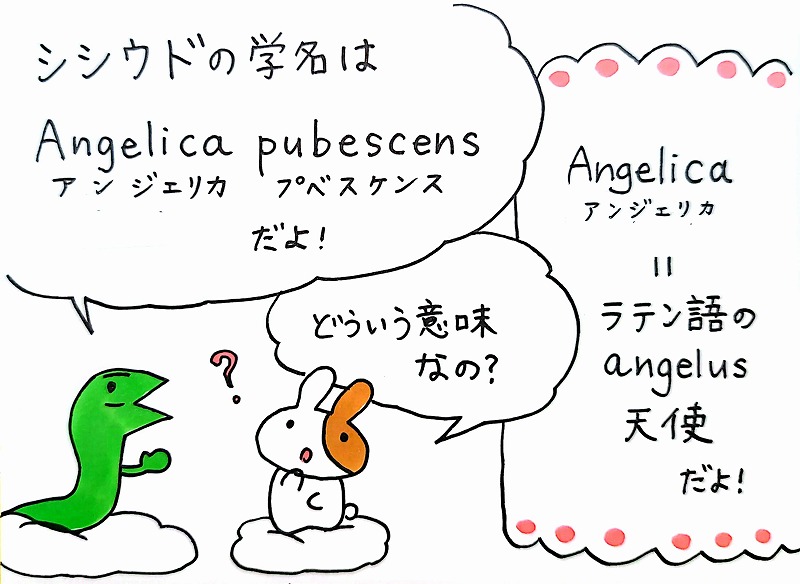 天野2025-07-29_2.jpg
