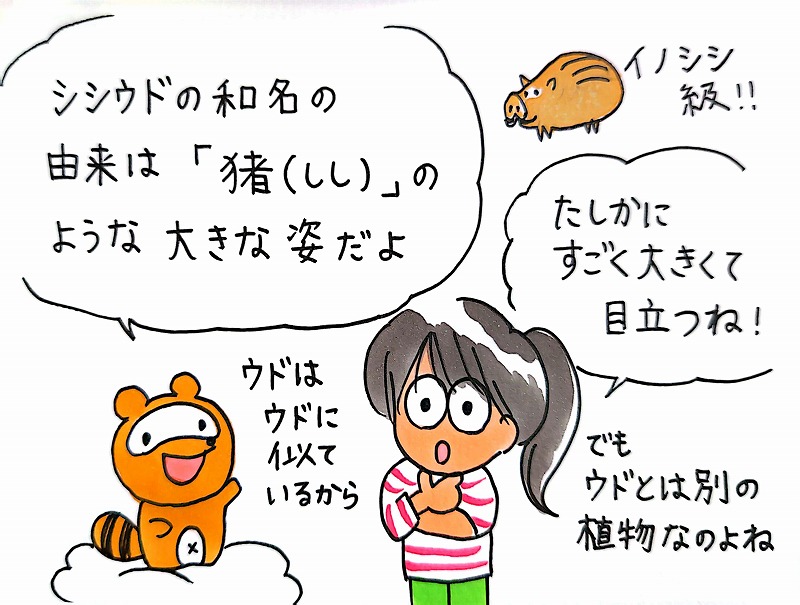 天野2025-07-29_3.jpg