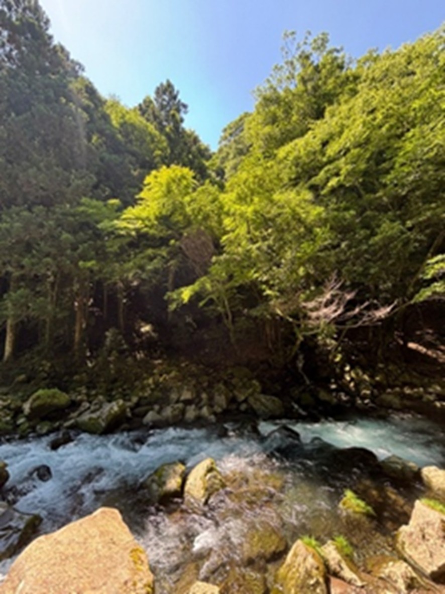 渡邉綾20250809清流.jpg