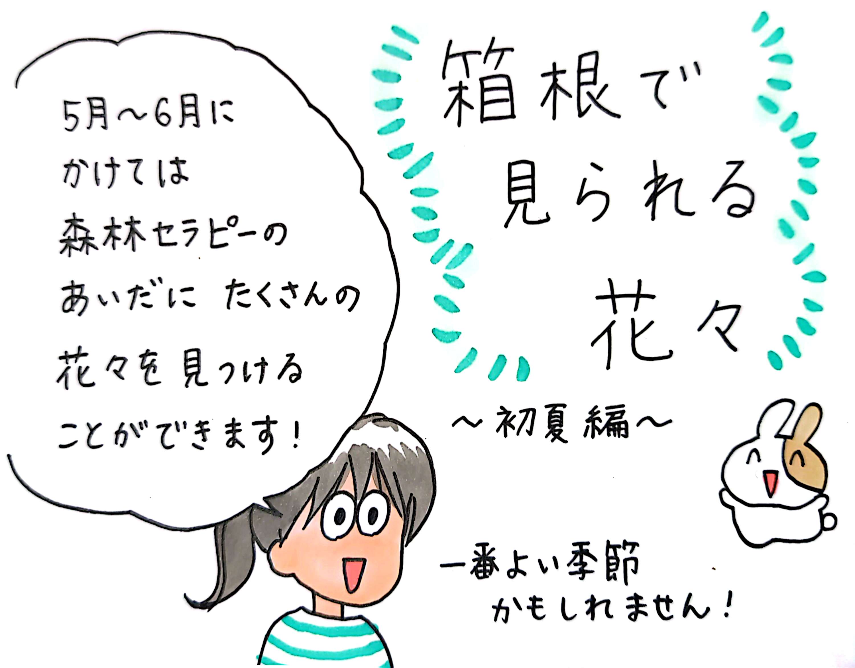 箱根で見られる花々