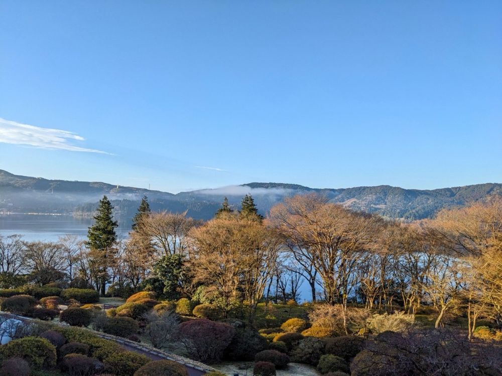 静けさが深まる季節にこそ出かけたい”１月〜３月、箱根で味わう森林浴”