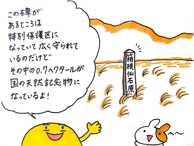 20240829天野④.jpg