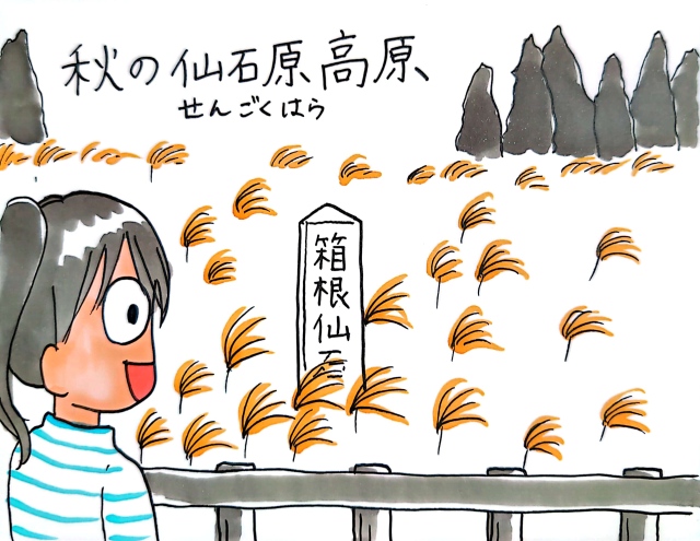 仙石原すすき草原