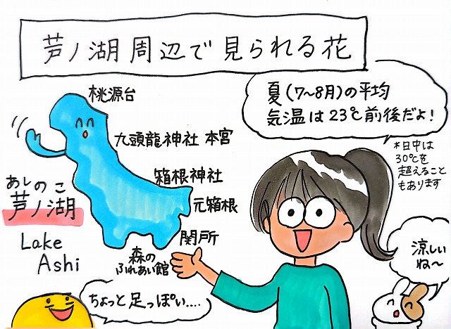 芦ノ湖周辺で見られる花