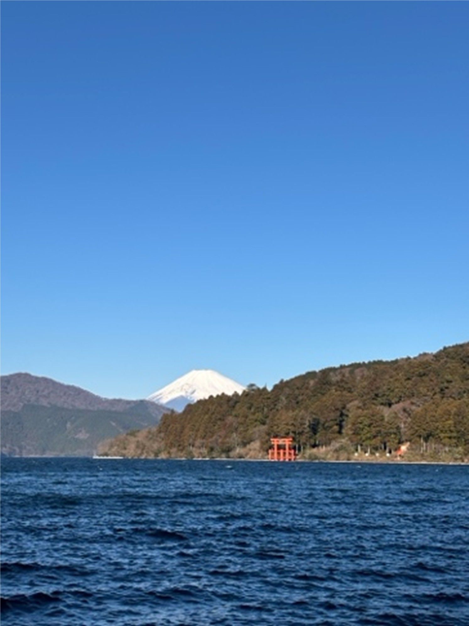 病気が教えてくれた「自然治癒力と予防医療」