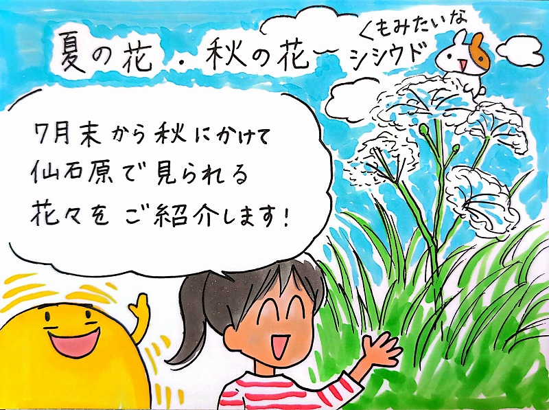 仙石原で見られる、夏の花・秋の花