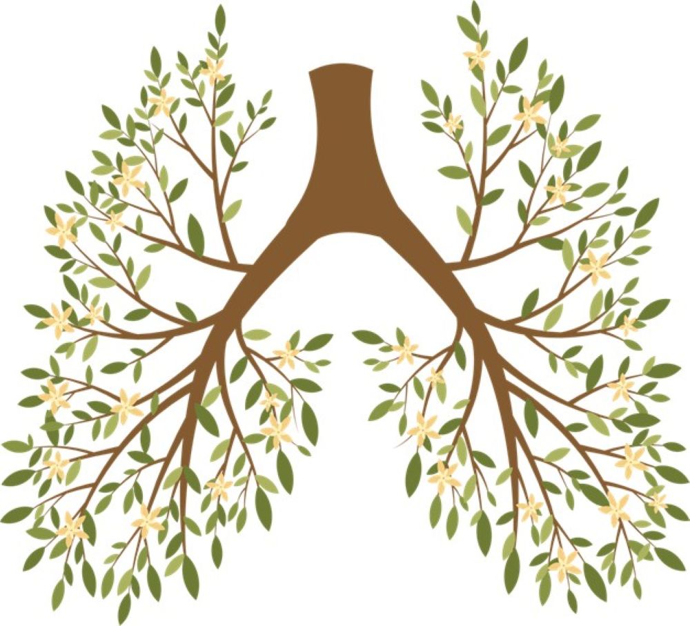 ホリスティック〜森と地球の循環〜