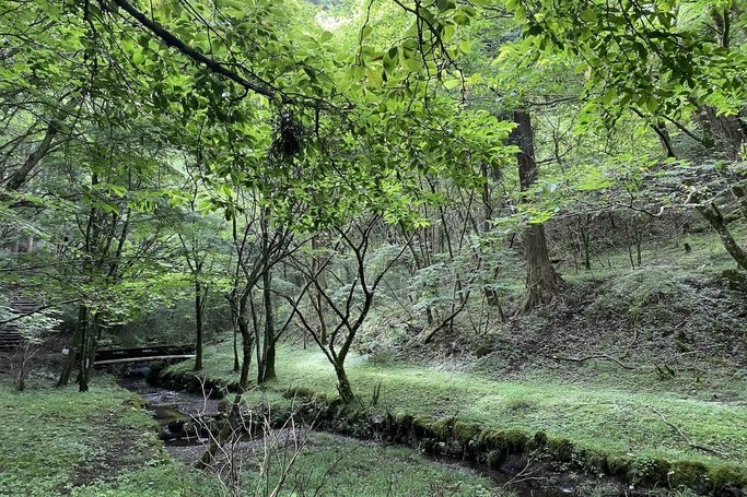 小鳥の広場