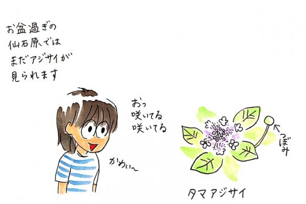 190827 s.miyamoto01.jpg