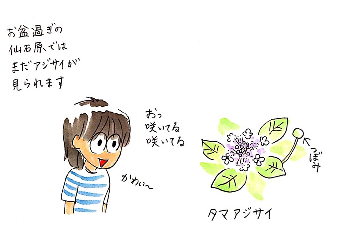 190827 s.miyamoto01.jpg