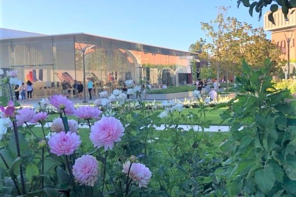 190910 k.shingyouchi01