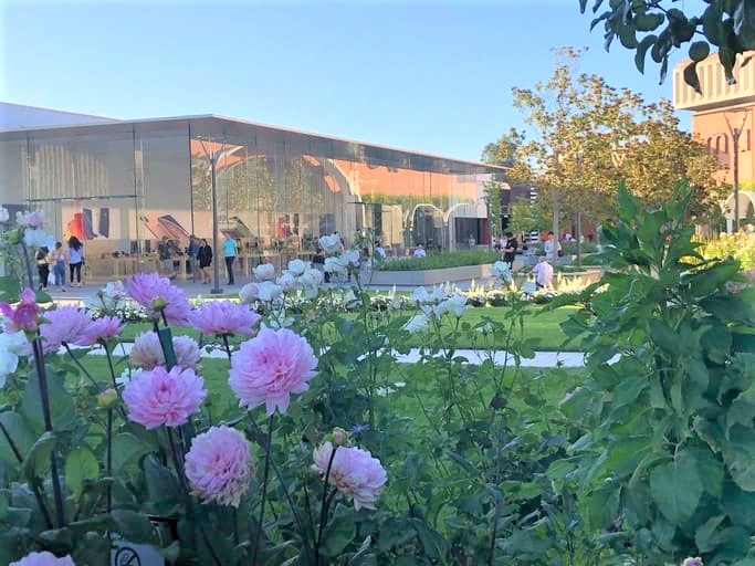 NO GREEN，NO WORK．緑のない職場なんて…