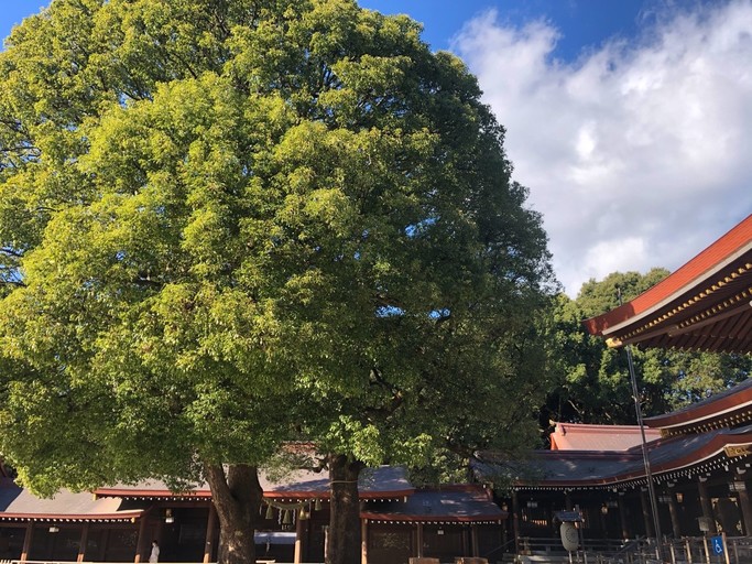 200110 k.shingyouchi01