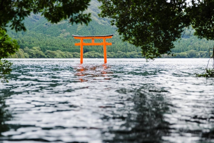 パワースポット九頭龍神社と森林セラピー