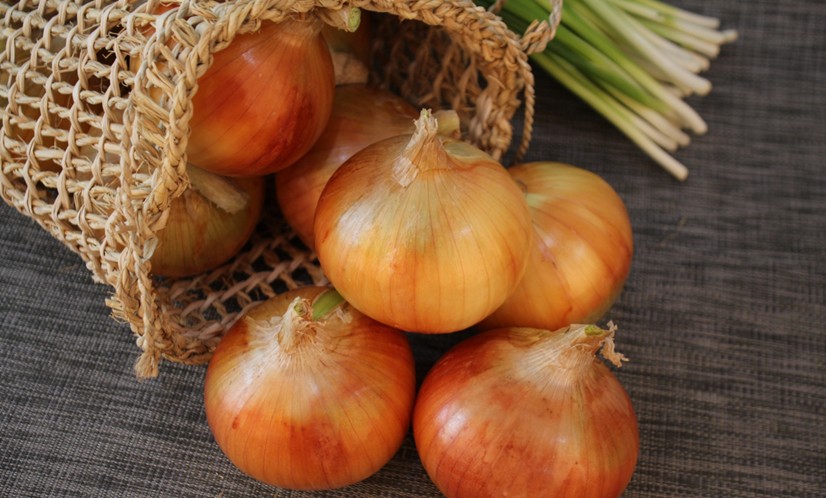 20250929山田「玉ねぎ」.jpg