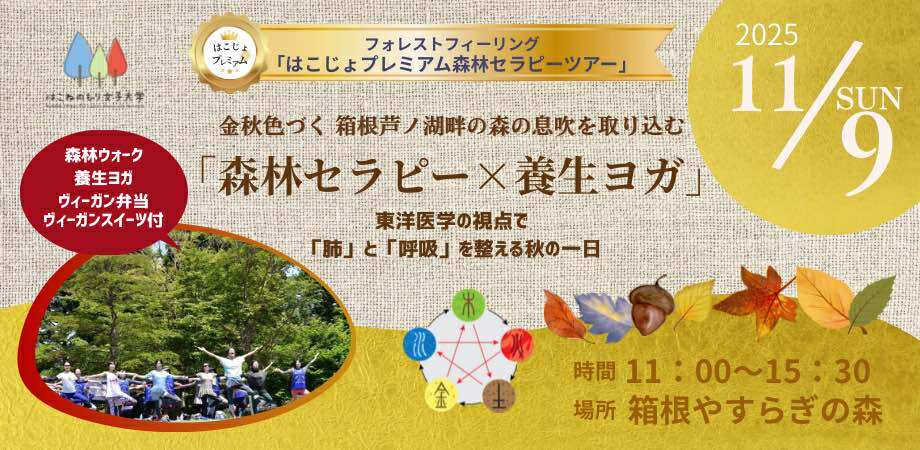 「秋の養生と森林セラピー」落ち葉が語る、秋の養生法